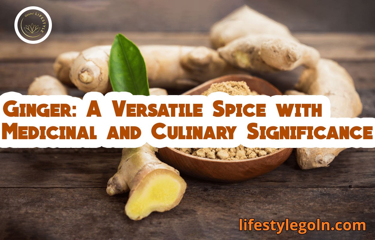 Ginger: A Versatile Spice with Medicinal and Culinary Significance 1 Ginger: A Versatile Spice with Medicinal and Culinary Significance