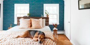 Accent Wall Ideas: Creative Possibilities for Your Living Spaces 4 accent wall ideas