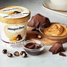 Delving into Dairy Free Ice Cream: The Delicious Innovation in the Frozen Dessert Industry 8 dairy free ice cream