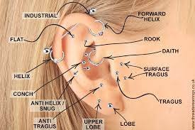 Understanding Types of Ear Piercing: An Illustrated Guide 3 ear piercing chart
