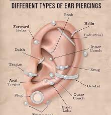 Understanding Types of Ear Piercing: An Illustrated Guide 4 ear piercing chart