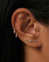Understanding Types of Ear Piercing: An Illustrated Guide 5 ear piercing chart