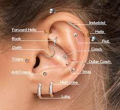 Understanding Types of Ear Piercing: An Illustrated Guide 2 Understanding Types of Ear Piercing: An Illustrated Guide