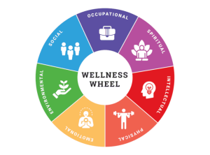 Definition of Wellness: Meaning, Dimensions, and Examples 3 wellness