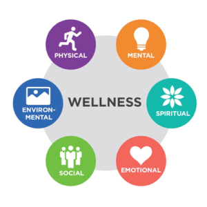 Definition of Wellness: Meaning, Dimensions, and Examples 2 Definition of Wellness: Meaning, Dimensions, and Examples