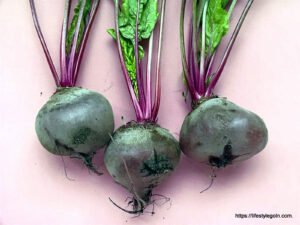 Beetroot: An Underrated Superfood with Remarkable Health Benefits 9 Beetroot 2