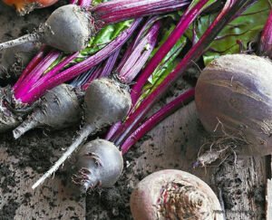 Beetroot: An Underrated Superfood with Remarkable Health Benefits 5 Beetroot 6