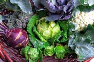 Cruciferous Vegetables: Nutritional Powerhouses and Their Impact on Health 7 Cruciferous Vegetables 6