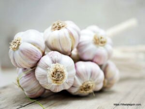 Garlic: A Culinary Marvel and a Medicinal Treasure 2 Garlic 3