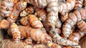 Turmeric: The Golden Spice of Health and Healing 9 Turmeric 4