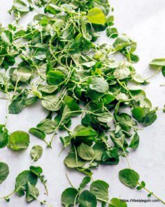 Watercress: The Nutrient-Dense Superfood and Its Health Benefits 9 Watercress 4