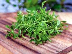 Watercress: The Nutrient-Dense Superfood and Its Health Benefits 2 Watercress: The Nutrient-Dense Superfood and Its Health Benefits
