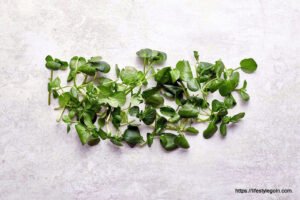 Watercress: The Nutrient-Dense Superfood and Its Health Benefits 7 Watercress 9