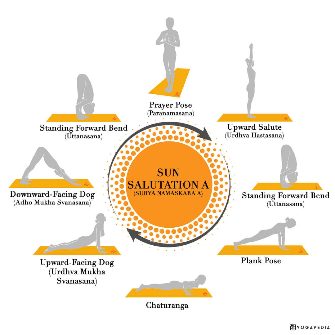 Sun Salutation A | Yoga 2 sun salutation a