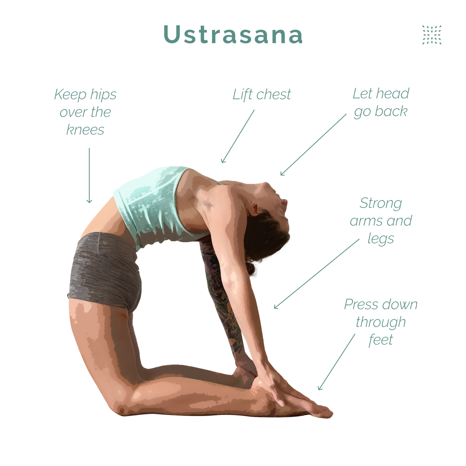 The Camel Pose | Yoga 2 The Camel Pose The Camel Pose | Yoga