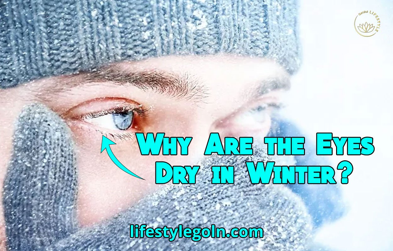 Why Are the Eyes Dry in Winter? 1 Why Are the Eyes Dry in Winter?