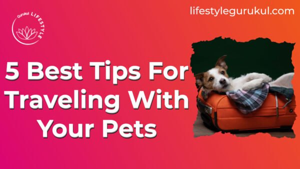 5 Best Tips For Traveling With Your Pets 1 5 Best Tips For Traveling With Your Pets 5 Best Tips For Traveling With Your Pets