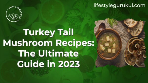 Turkey Tail Mushroom Recipes The Ultimate Guide in 2023 Turkey Tail Mushroom Recipes: The Ultimate Guide in 2023
